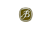 Logo B